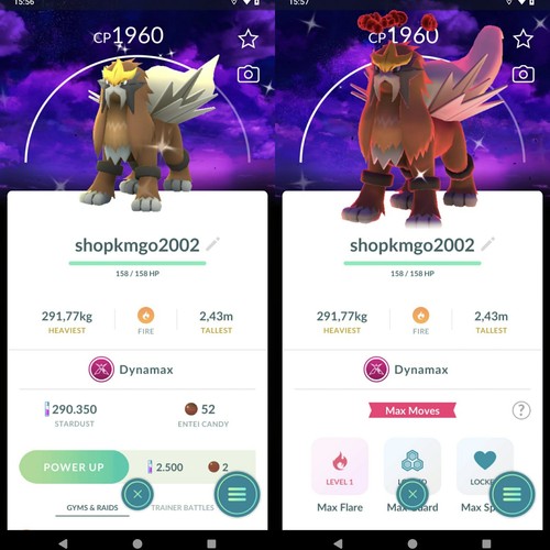 Pokémon shiny dynamax - shiny,