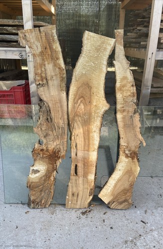 Tavole legno ulivo - ulivo, 3