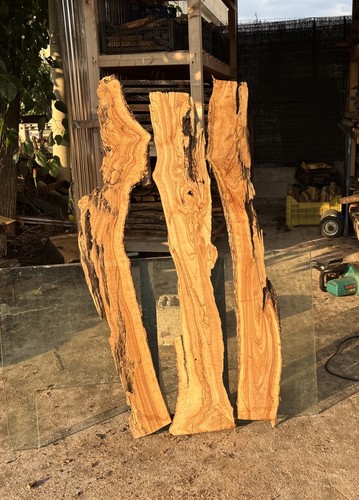 Tavole legno ulivo 3 - tavole, di
